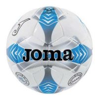 (c) Livonia-soccer.com